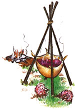 The Indians obtained a reddish brown dye from the flowers.
